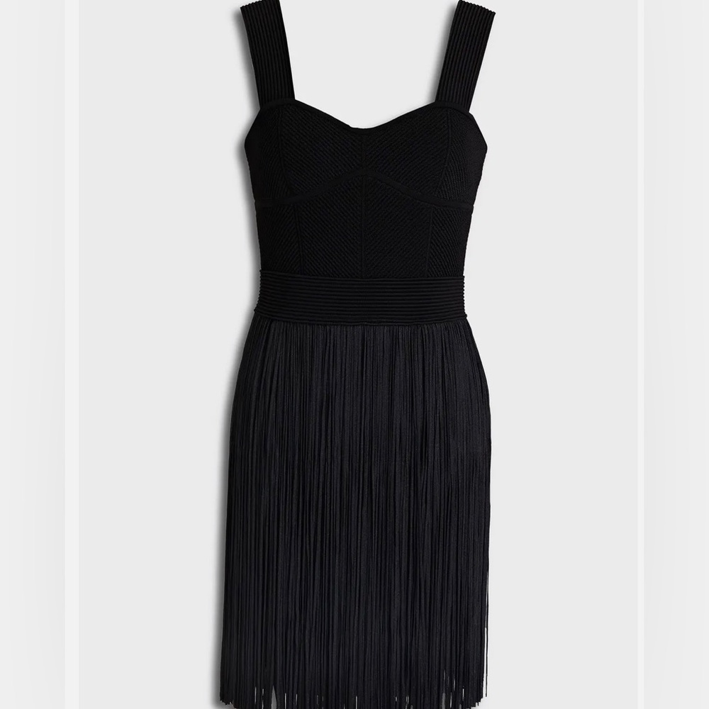 Herve Leger Black Bodycon Fringe Dress NEW - Picture 3 of 6